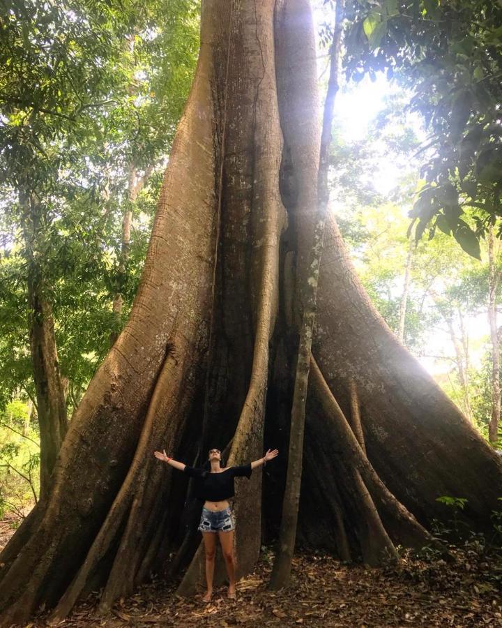 Amazonia Lodge Exxperience Paricatuba Dış mekan fotoğraf