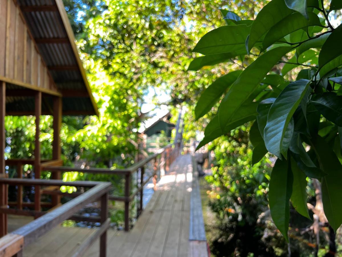 Amazonia Lodge Exxperience Paricatuba Dış mekan fotoğraf