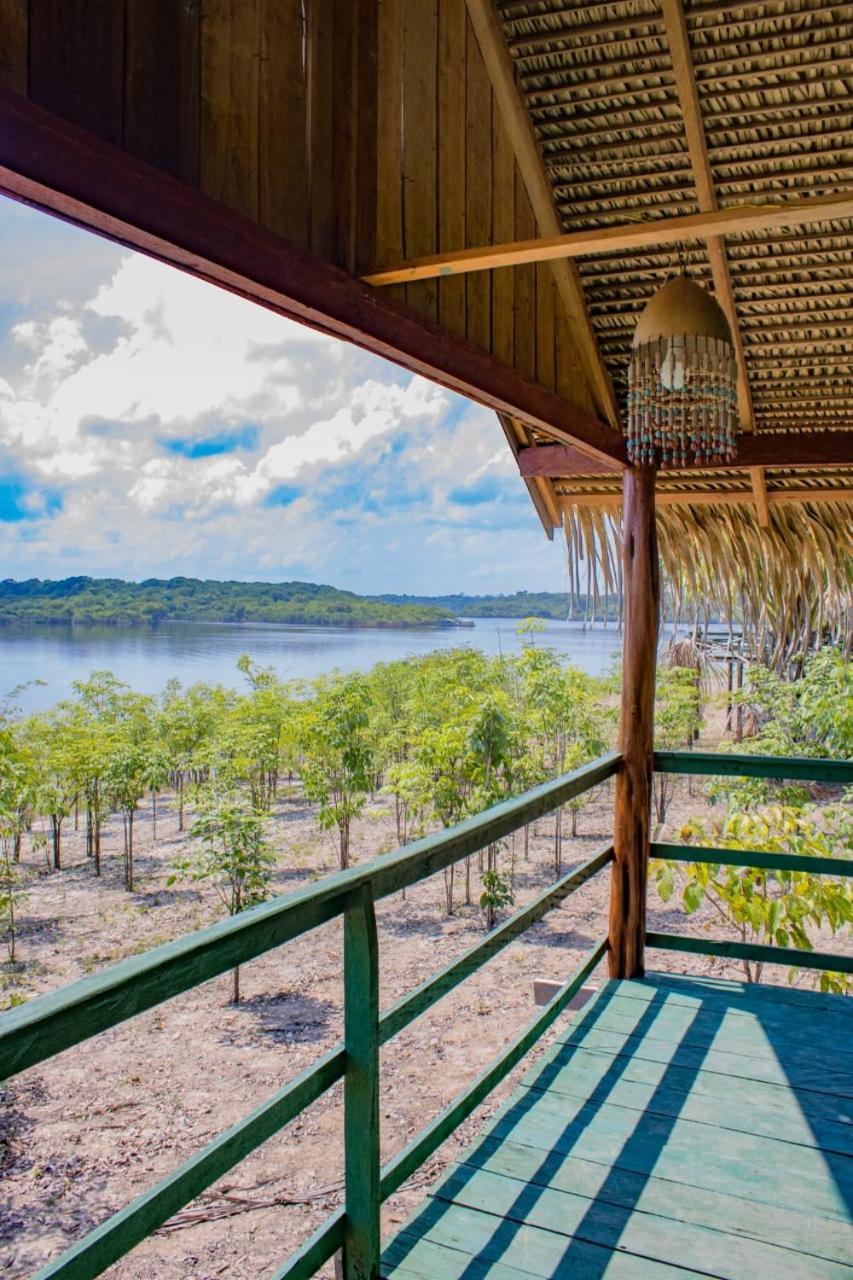 Amazonia Lodge Exxperience Paricatuba Oda fotoğraf